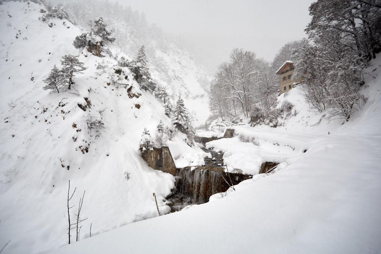 Casa Cadore Lozzo Cadore المظهر الخارجي الصورة